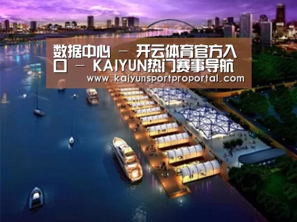 案例展示八