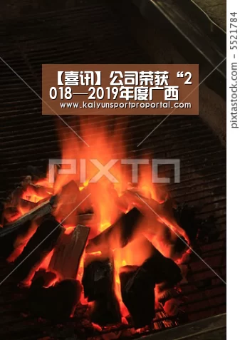 【喜讯】公司荣获“2018—2019年度广西优秀企业”荣誉称呼:开云热门赛事(图4) KAIYUN首页