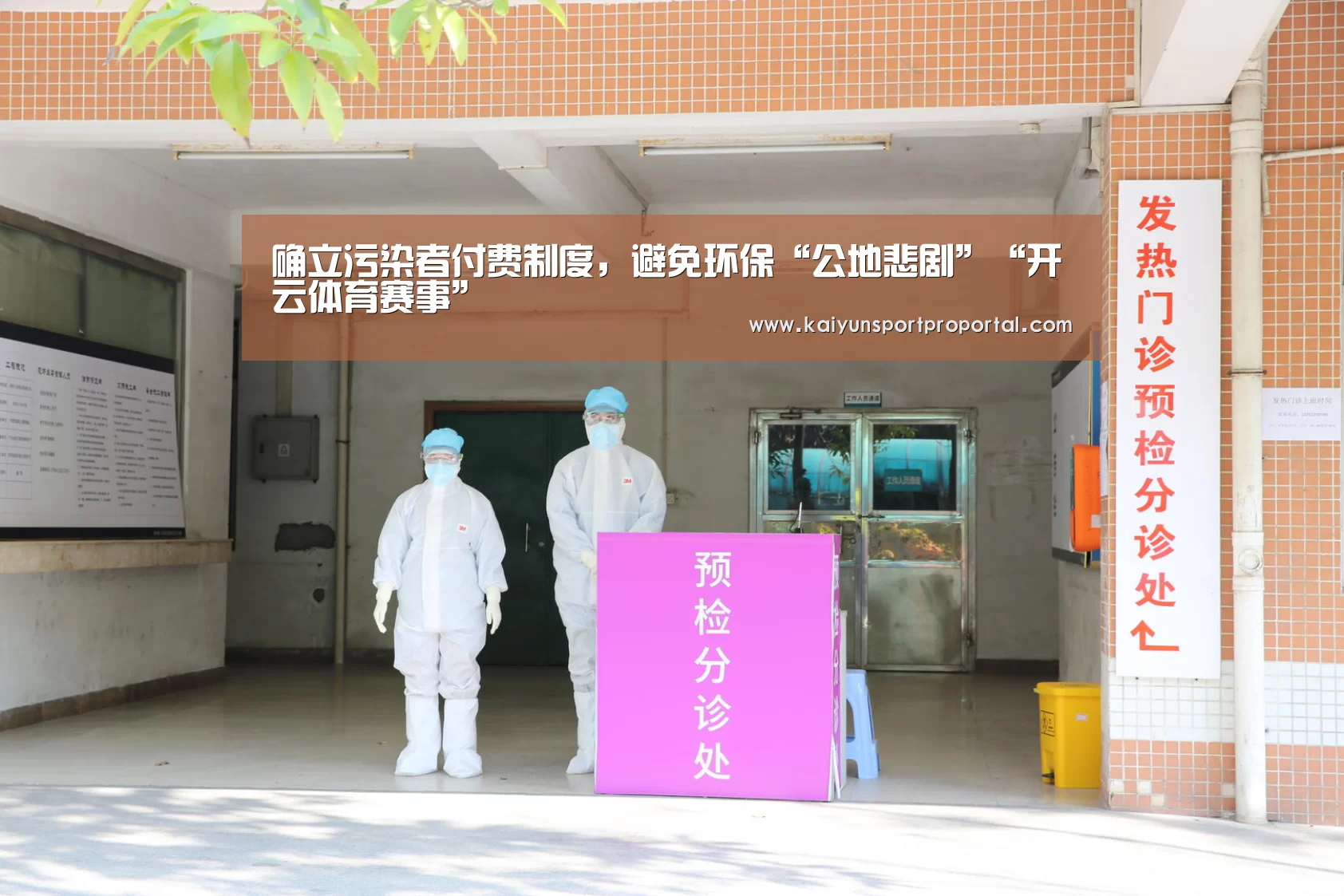 开云比分